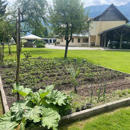 Pension Lipicer Kotschach-Mauthen Esterno foto