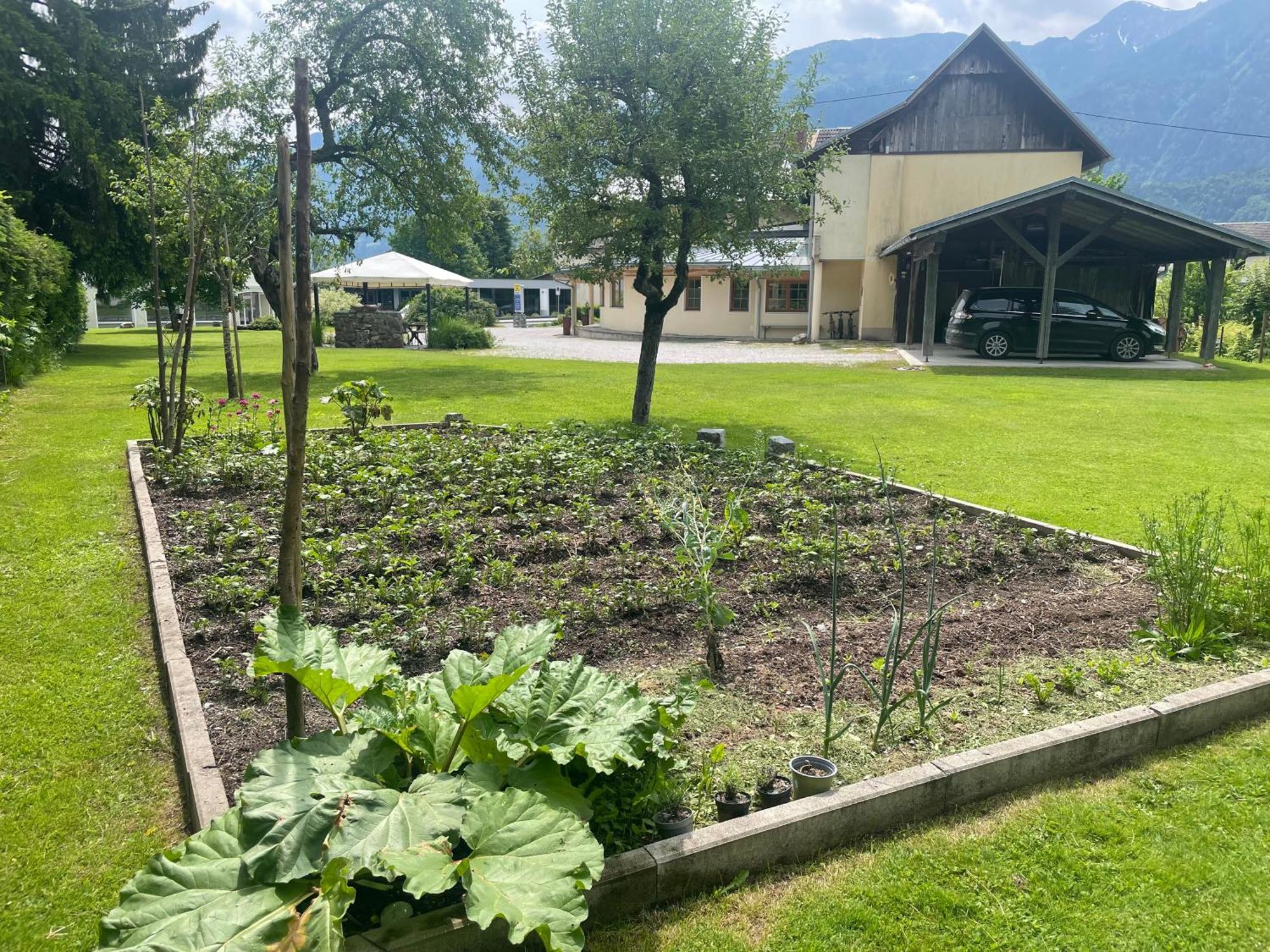 Pension Lipicer Kotschach-Mauthen Esterno foto